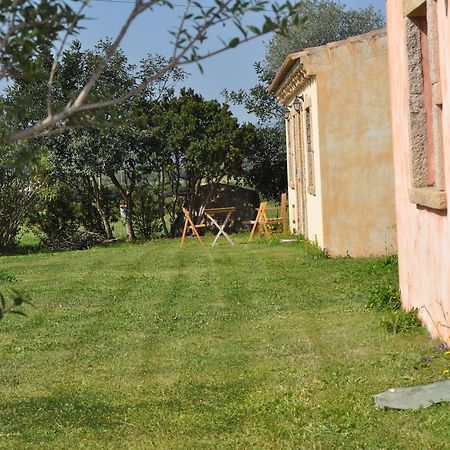 B&B Pubulos Olbia Extérieur photo