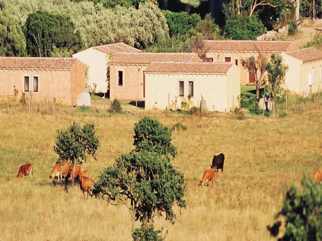 B&B Pubulos Olbia Extérieur photo